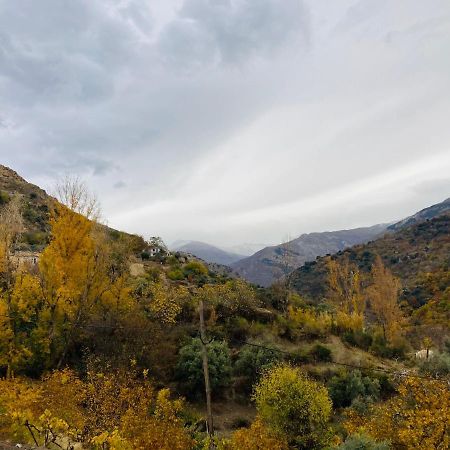 El Hogar De Mercedes Guejar Sierra Buitenkant foto