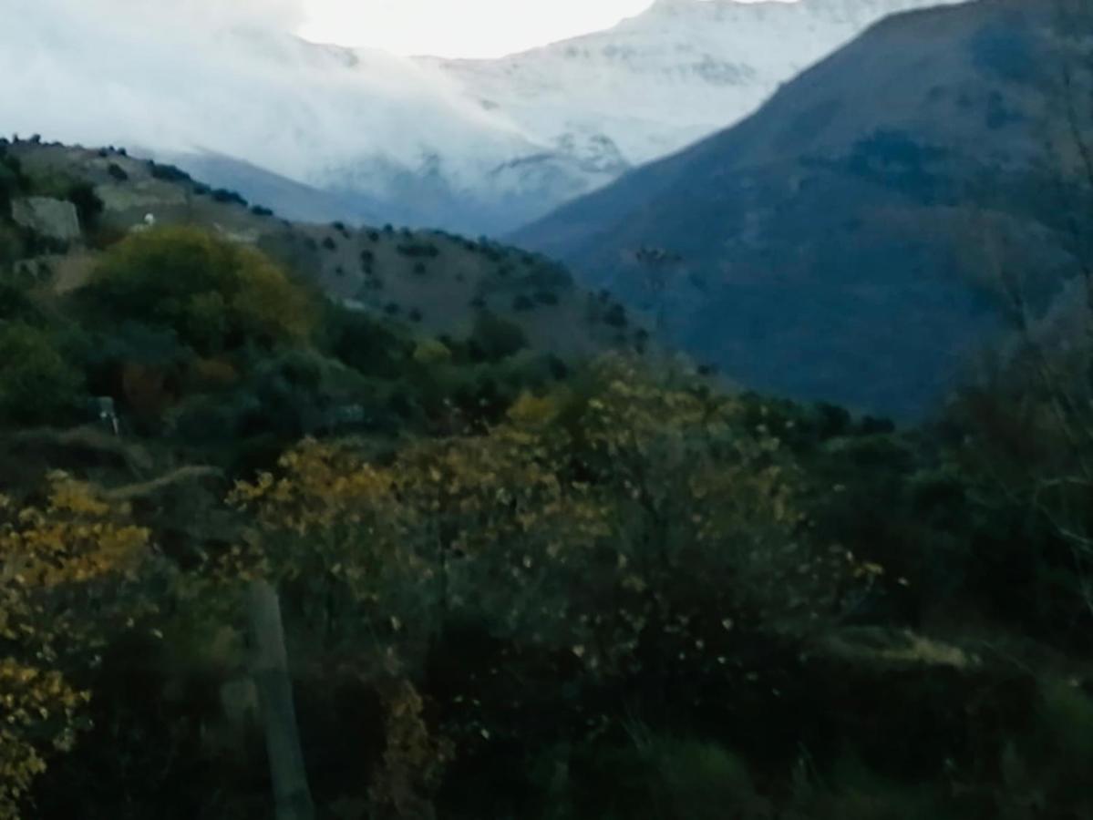 El Hogar De Mercedes Guejar Sierra Buitenkant foto