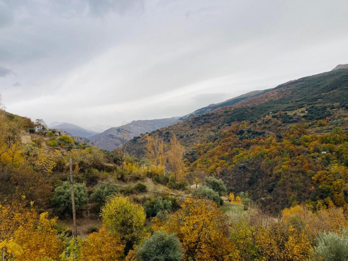 El Hogar De Mercedes Guejar Sierra Buitenkant foto