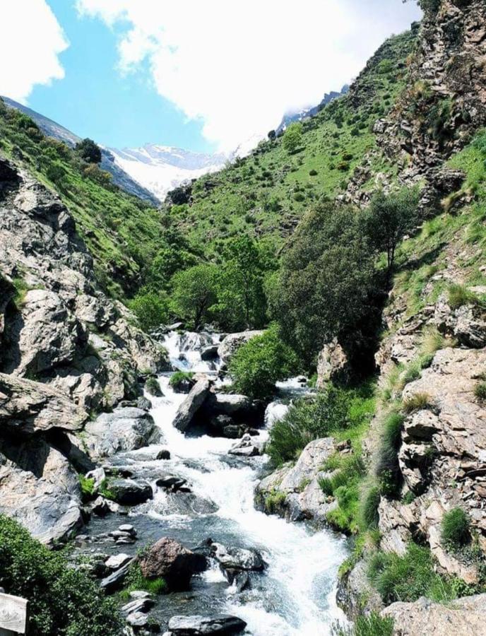 El Hogar De Mercedes Guejar Sierra Buitenkant foto